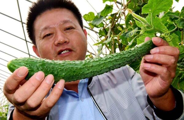 生鮮食材配送為什么大多不能與客戶建立長期合作？